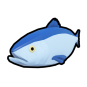 Herring Fish