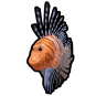 Lion Fish