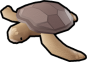 Loggerhead Turtle
