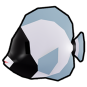 Masked Angelfish