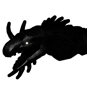 Panther Eel