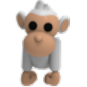 Albino Monkey