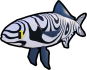 Pilot Fish