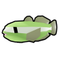 Pygmy Goby