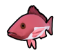 Red Snapper