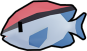 Reef Chromis