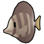 Sail Tang