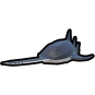 Saw Fish