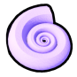 Sea Shell