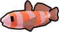 Shrimp Goby
