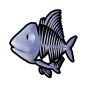 Skeleton Fish