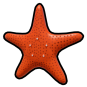Starfish