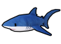Thresher Shark