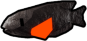 Volcanic Basslet