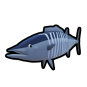 Wahoo