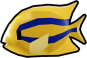 Yello Damselfish