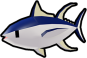 Yellowfin Tuna