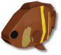 Oscar Cichlid