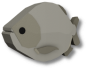 Freshwater Pacu