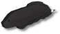 Black Ghost Knifefish