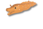 Japanese Dragon Eel