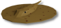 Motoro Stingray