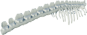 Mossjaw Spine