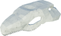 Mossjaw Skull