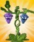 Grape Seed