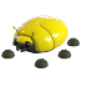 Giant Gold Scarab купить