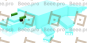 Alligator (Snow)