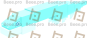 Electric Eel (Snow)