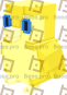 Penguin (Golden)