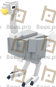 Ostrich (Diamond)