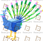 Peacock (Dino)