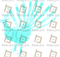 Peacock (Snow)