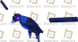 Phoenix (Electirc)