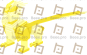 Griffin Variant 1 (Golden)