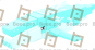 Whale (Snow)