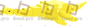 Plesiosaur (Golden)