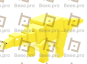 Stegosaurus (Golden)
