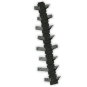 Severed Spine