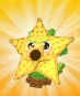 Starfruit Seed