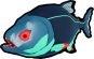 Freshwater Piranha