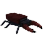 Stag Beetle