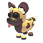 African Wild Dog