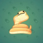 Pet Snake #23570