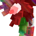 Candy Cane Bloom