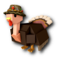 Pioneer Turkey