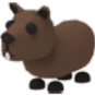 Capybara